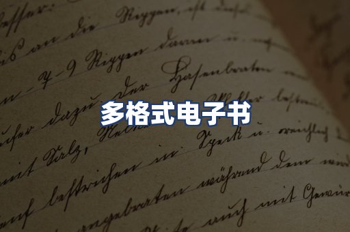 多格式电子书